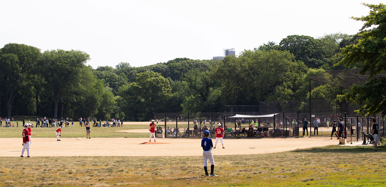 baseball fields