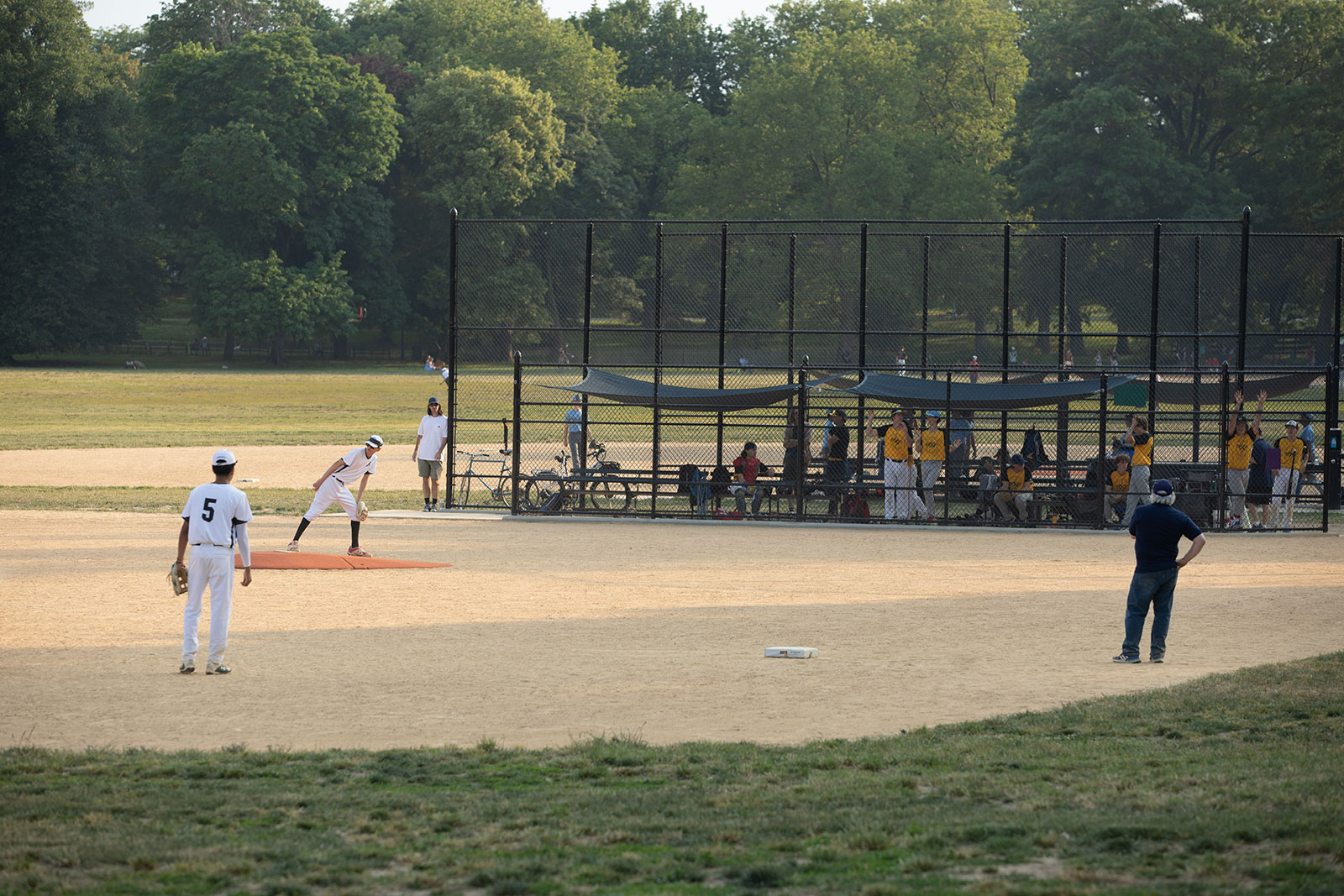 baseball fields