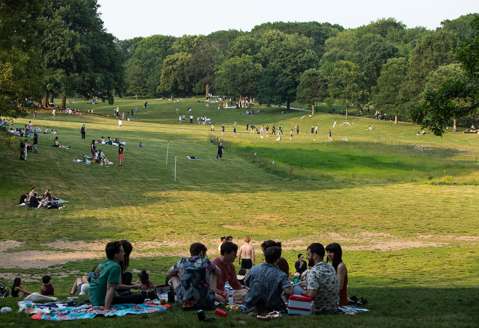 picnic_house